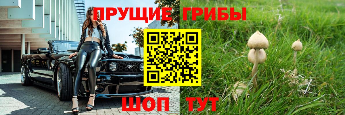 Красный Сулин  Галлюциногенные грибы мицелий  Псилоцибиновые грибы прущие грибы  Вход с VPN 